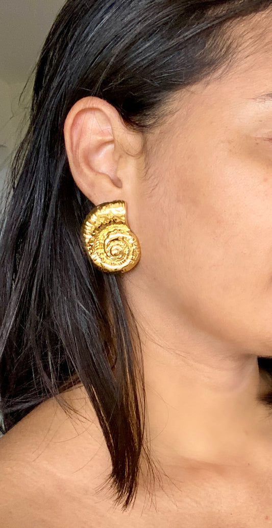 Boucle Ammonite