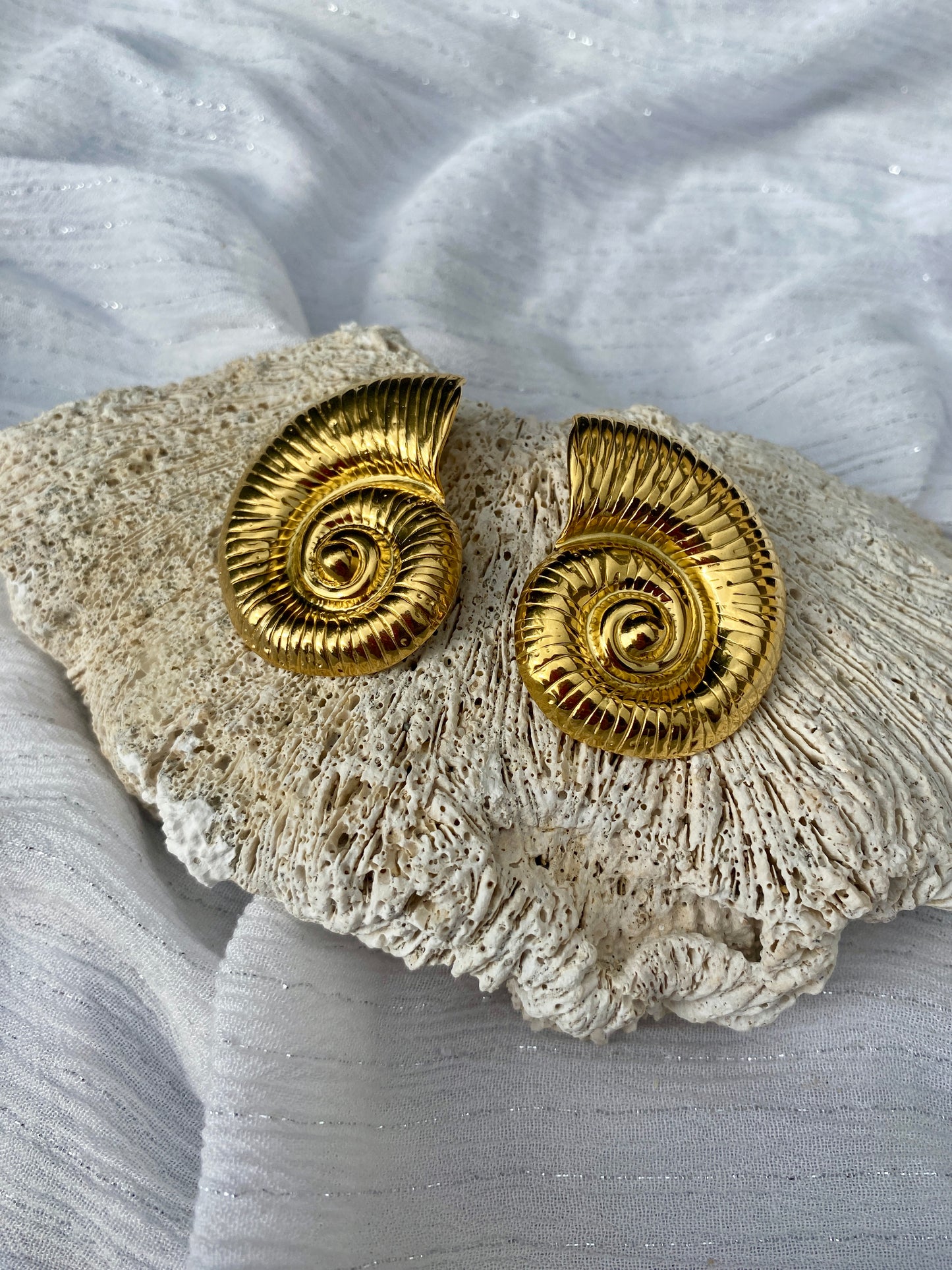 Boucle Ammonite