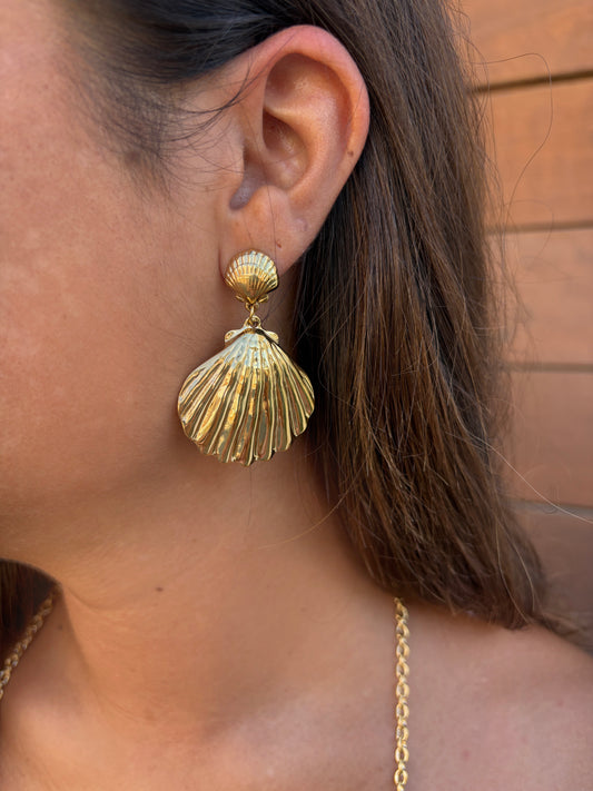 Boucles Coquillage