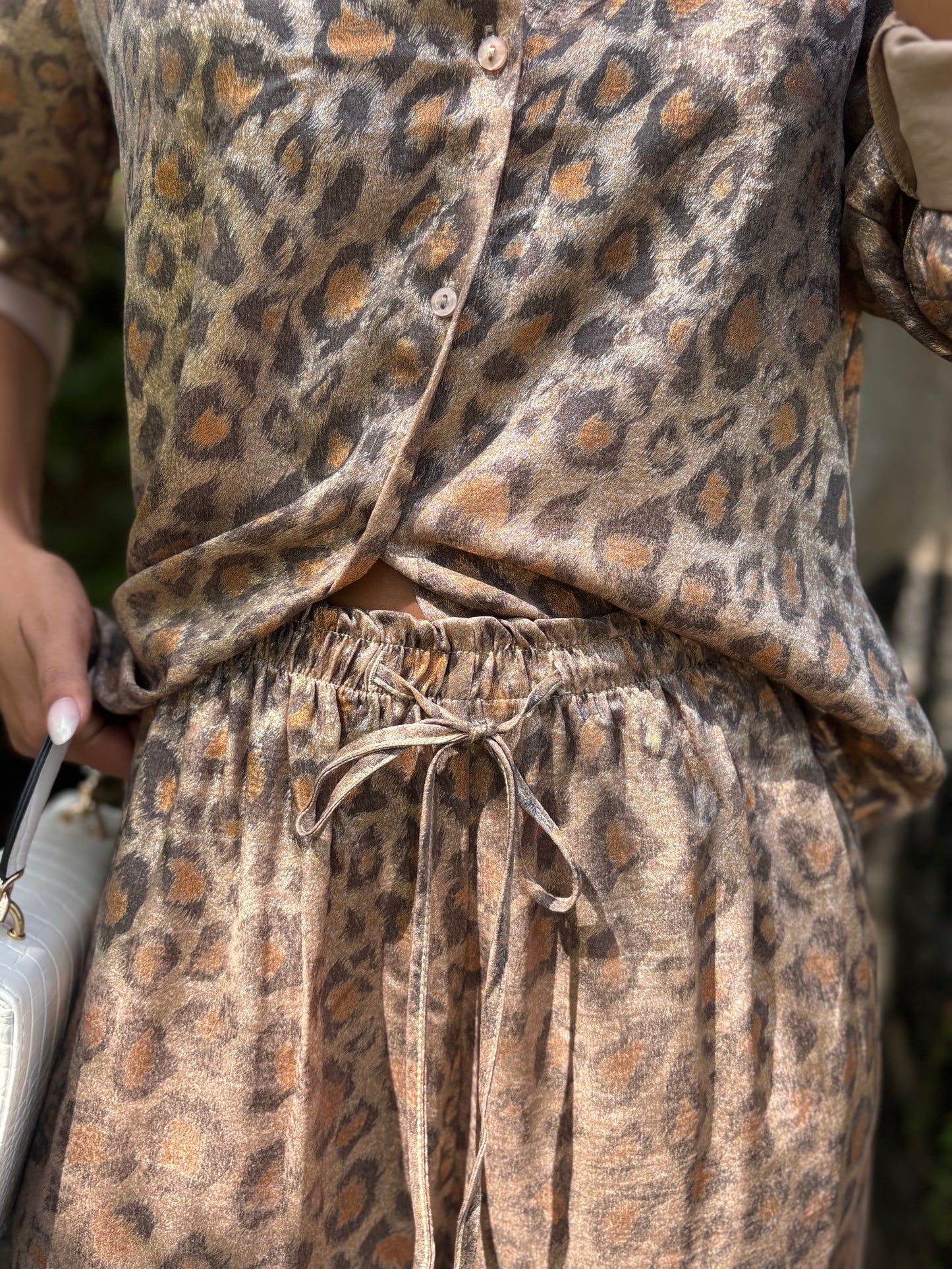 Ensemble Havana