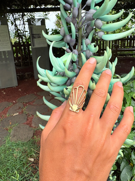 Bague Coquillage